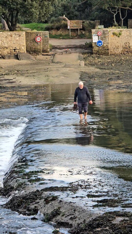 Attention aux marées ! 😮

.
.
.
#fansdebretagne #bretagne  #bzh #breizh  #france🇫🇷  #explorebretagne #discoverbretagne #bretagnetourisme #bretagne_focus_on #bretagne_paysage #bretagne_focus_on #bretagnelovers #Morbihantourisme #morbihan #berder #ileberder #larmorbaden #histoire #patrimoine #baden #tradition #jaimelafrance #france #bretagnemylove